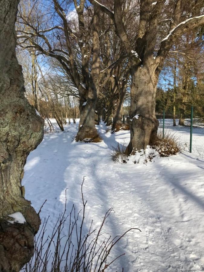 Seeblick Warin Esterno foto